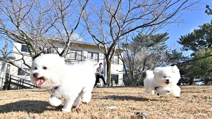 当館人気No.1！”佐賀の至高２大グルメ”躍動する活きイカ×特選佐賀牛陶板焼きプラン【ペット同伴可】